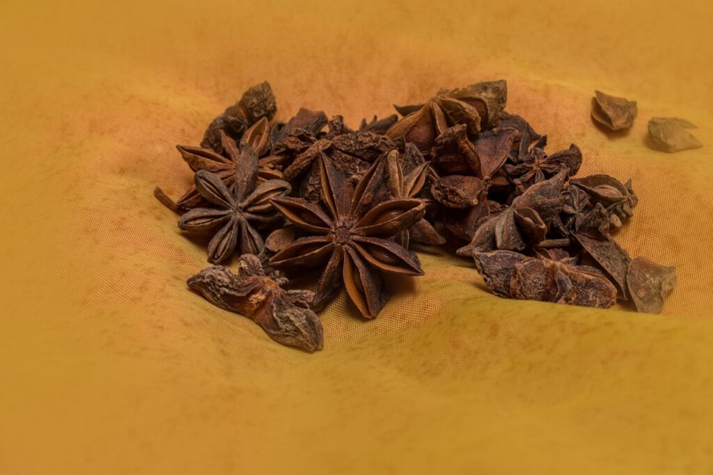 star anise, condiments, anise, smell, star anise, star anise, star anise, star anise, star anise, anise