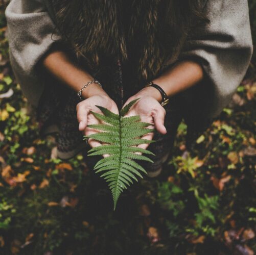 A woman holding a vivid green fern leaf in an autumn forest, showcasing nature's beauty.